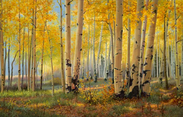 Картинка осень, лес, березы, живопись, искусство, роща, золотая осень, Kay Witherspoon, Pillars Of Gold