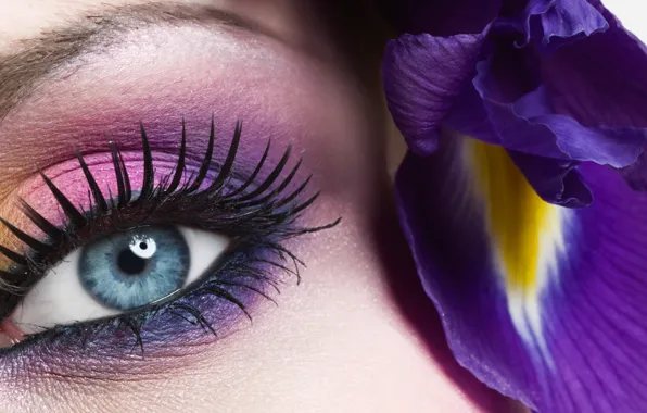 Картинка Flower, Beauty, Violet, Makeup, Eye