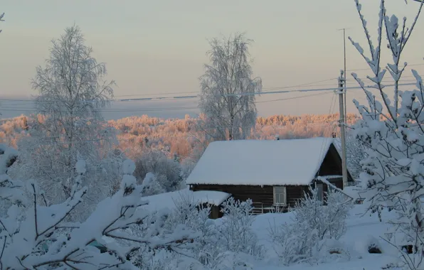 Картинка снег, деревья, дом, Зима