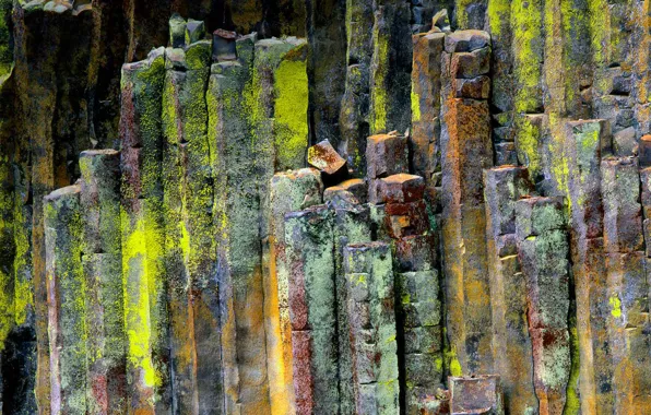 Картинка камни, Орегон, США, Umpqua National Forest, базальт