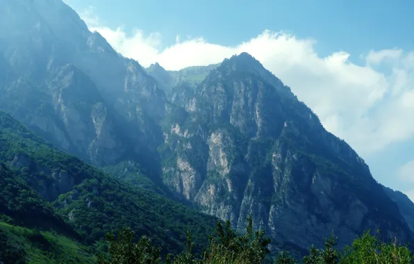 Картинка зелень, горы, природа, Кавказ