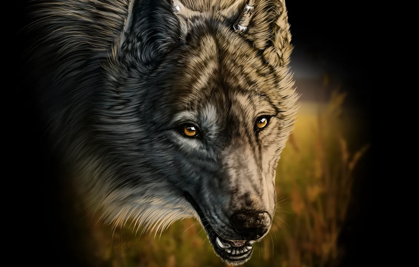 Фото обои трава, волк, клыки, art, wolfroad