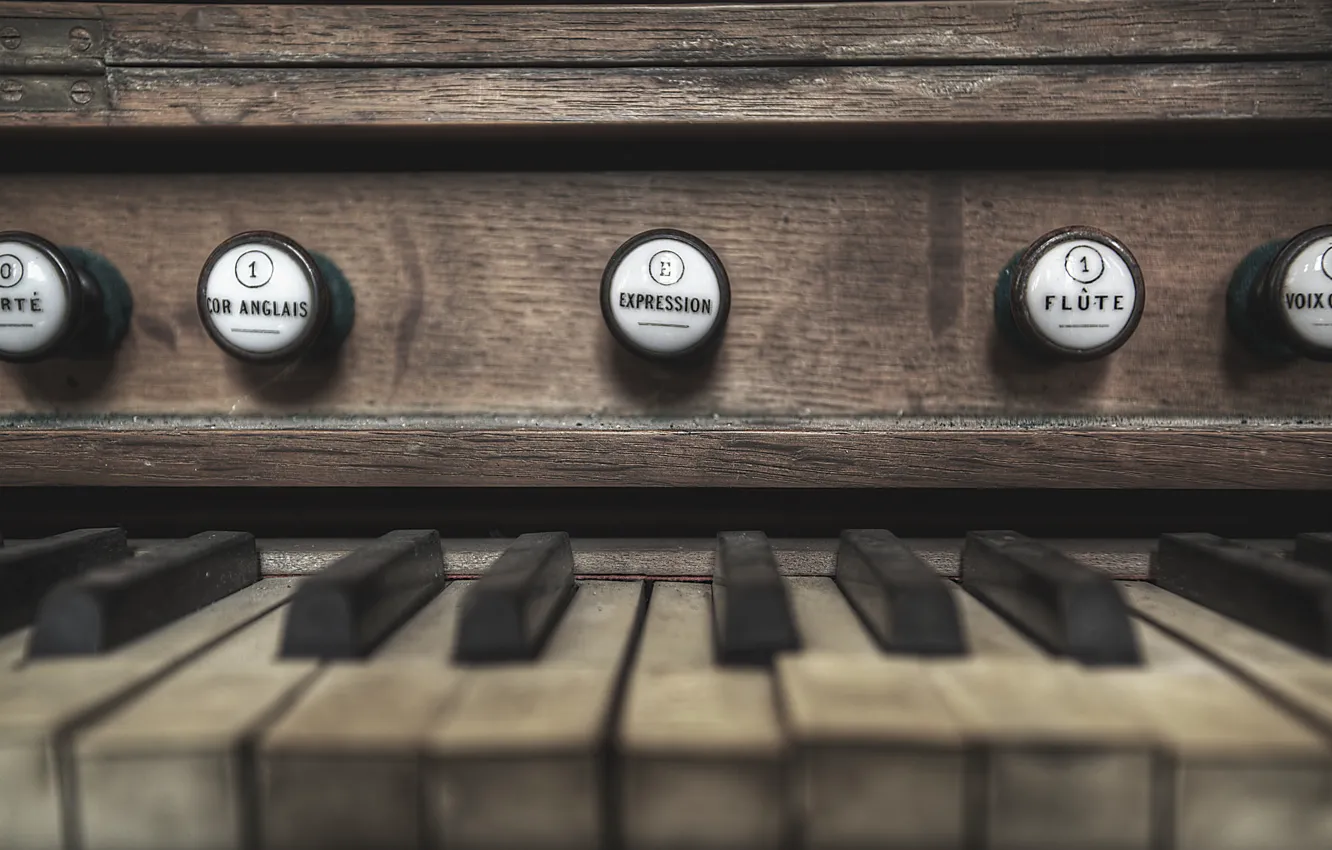 Фото обои клавиши, кнопки, заброшенные, синтезатор звука