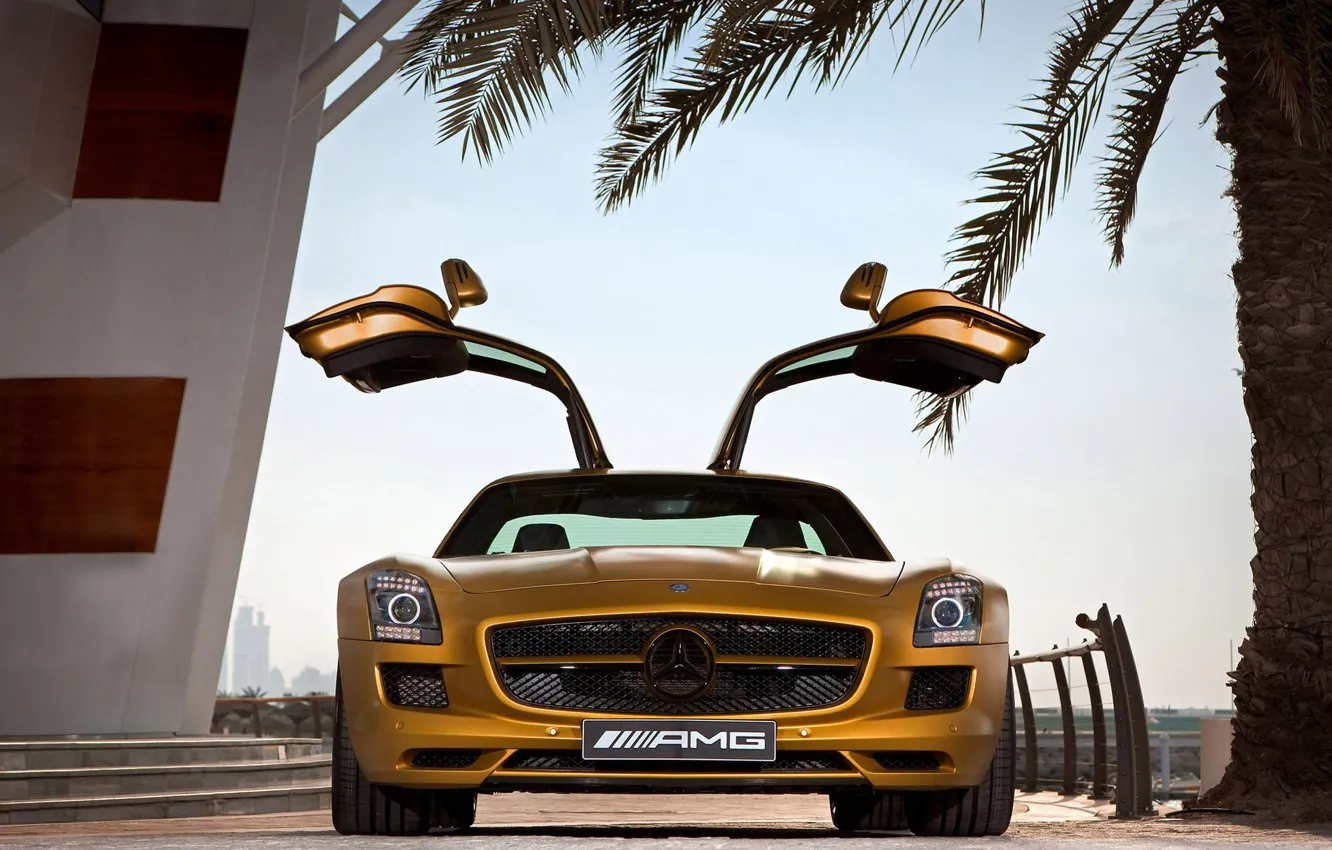 Фото обои Пальма, Двери, Ступеньки, Золотой, SLS AMG Desert Gold Edition, Mercedes Benz