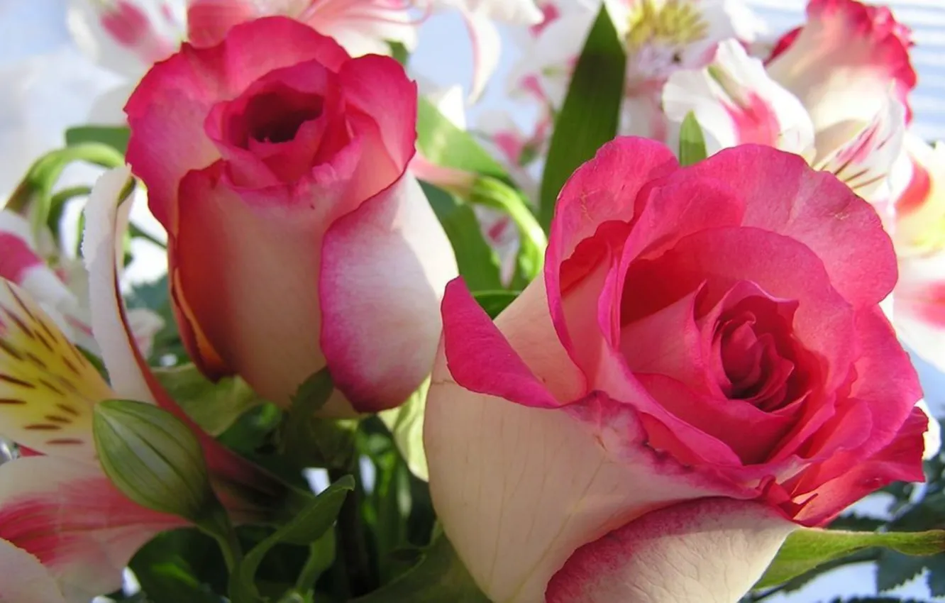 Фото обои роза, лилия, букет, лепестки, бутон