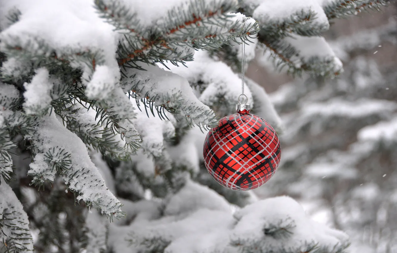Фото обои зима, елка, новый год, рождество, ель, шарик, украшение