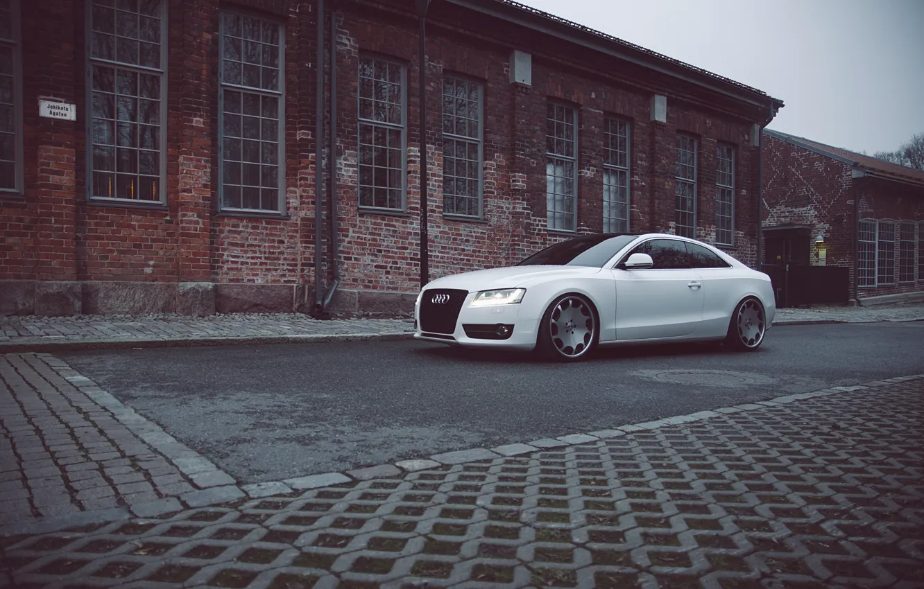 Фото обои Audi, white