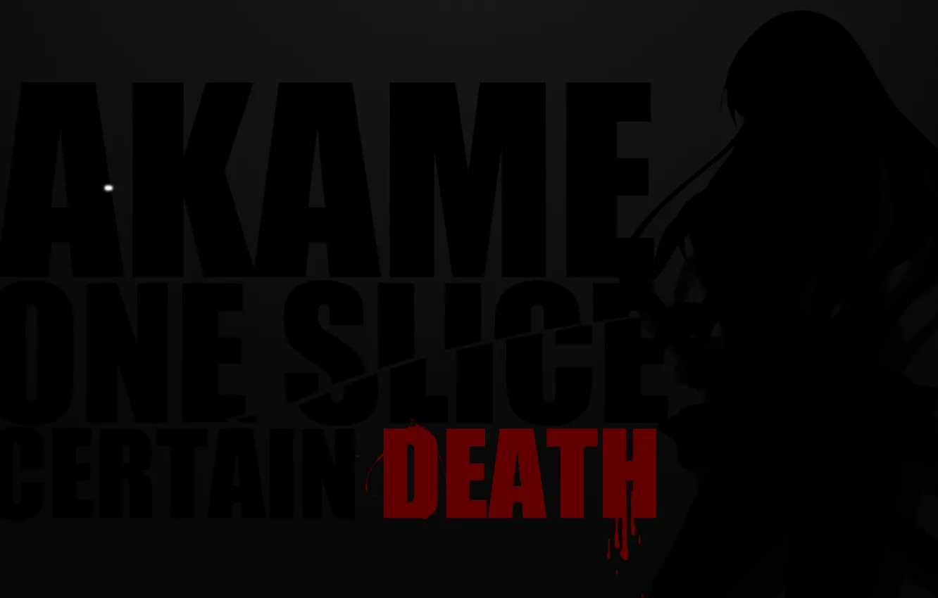 Фото обои Akame, Akame ga kill, убийца Акаме