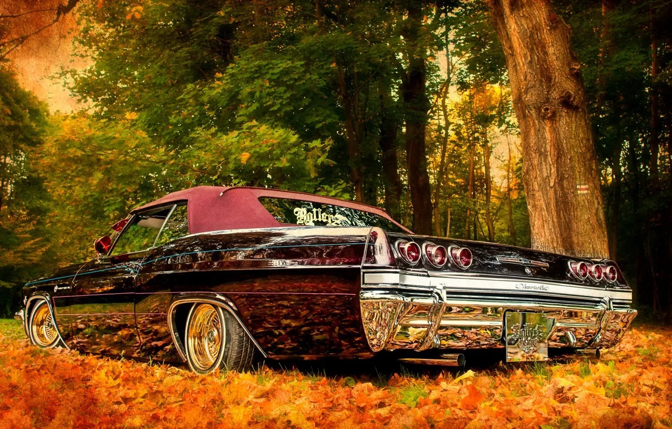 Фото обои авто, осень, природа, блеск, Chevrolet. 