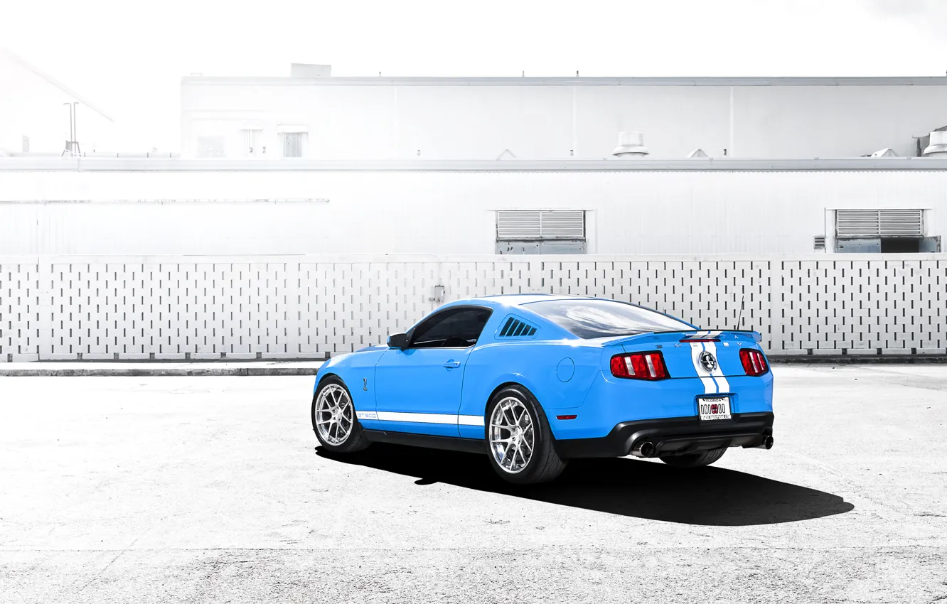 Фото обои голубой, Mustang, Ford, Shelby, GT500, мустанг, мускул кар, форд, шелби, blue, задняя часть, спортивные полосы