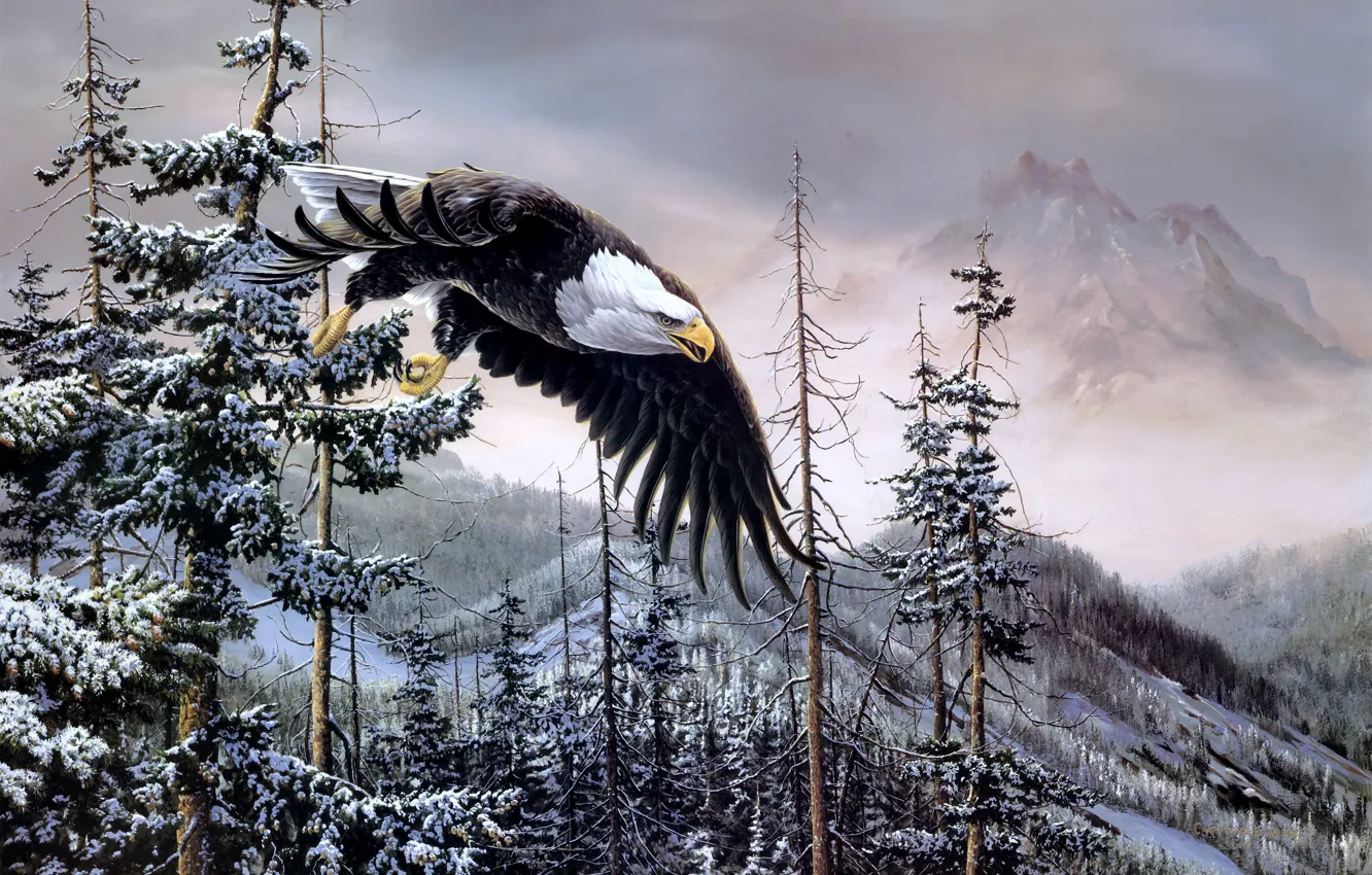Фото обои зима, лес, горы, птицы, орел, ель, живопись, белоголовый орлан, Heaven &amp; Earth, белоголовый орел, Christopher …