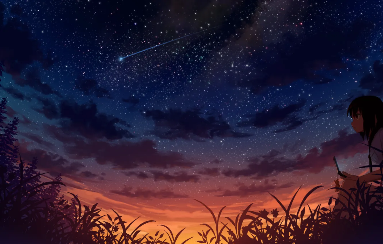 Фото обои девушка, ночь, метеор, арт, телефон, звездное небо, мобильник, sakais3211