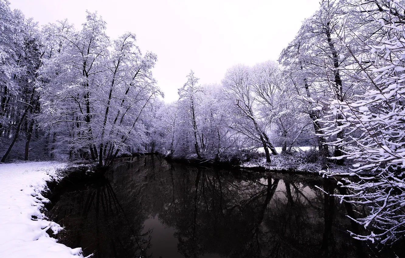 Фото обои зима, лес, вода, снег, деревья, природа, река
