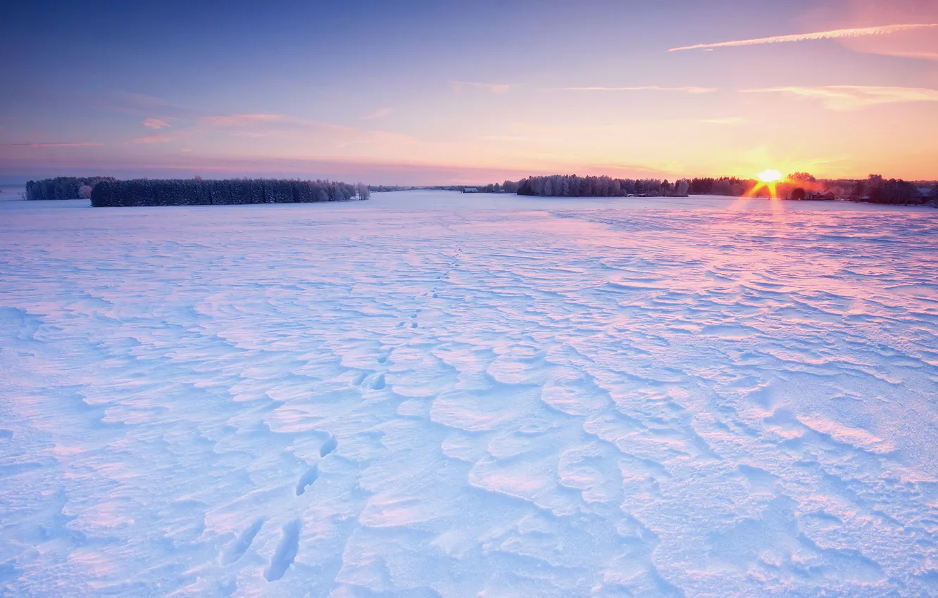 Фото обои поле, небо, солнце, снег, деревья, следы, дома, Зима