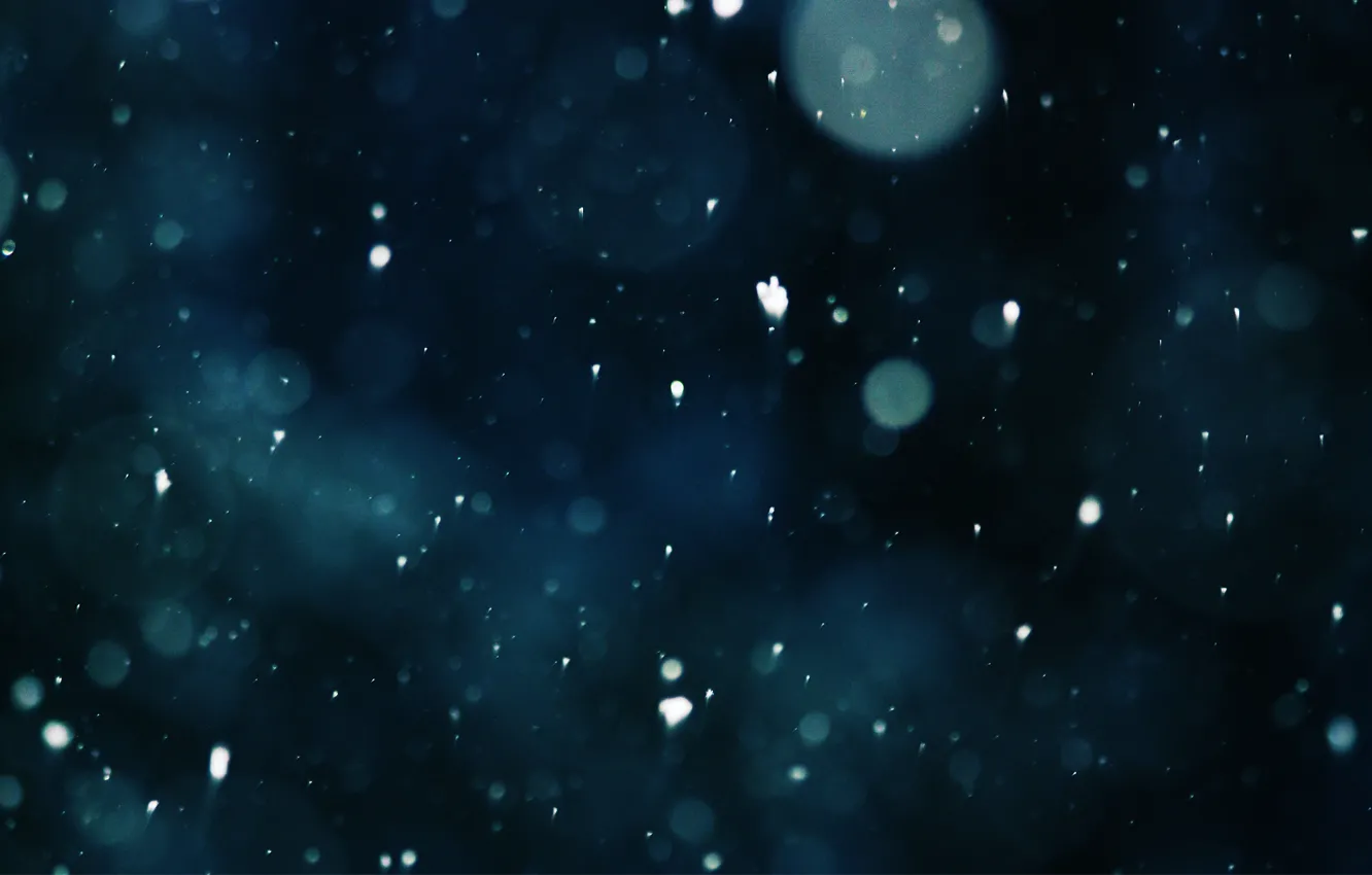 Фото обои снег, красота, вечер, падение снега
