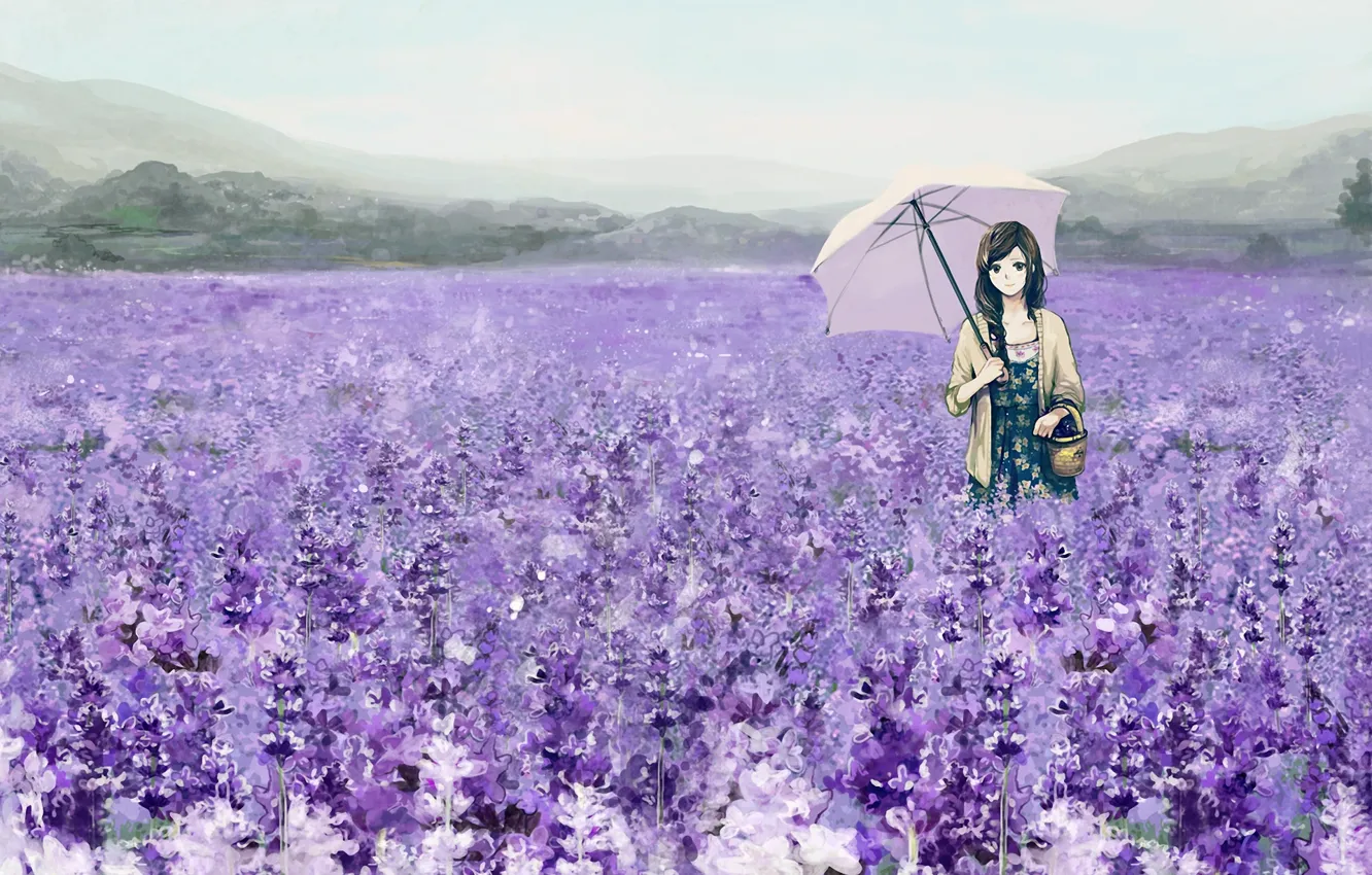 Фото обои поле, девушка, цветы, зонтик, корзина, зонт, арт, лаванда