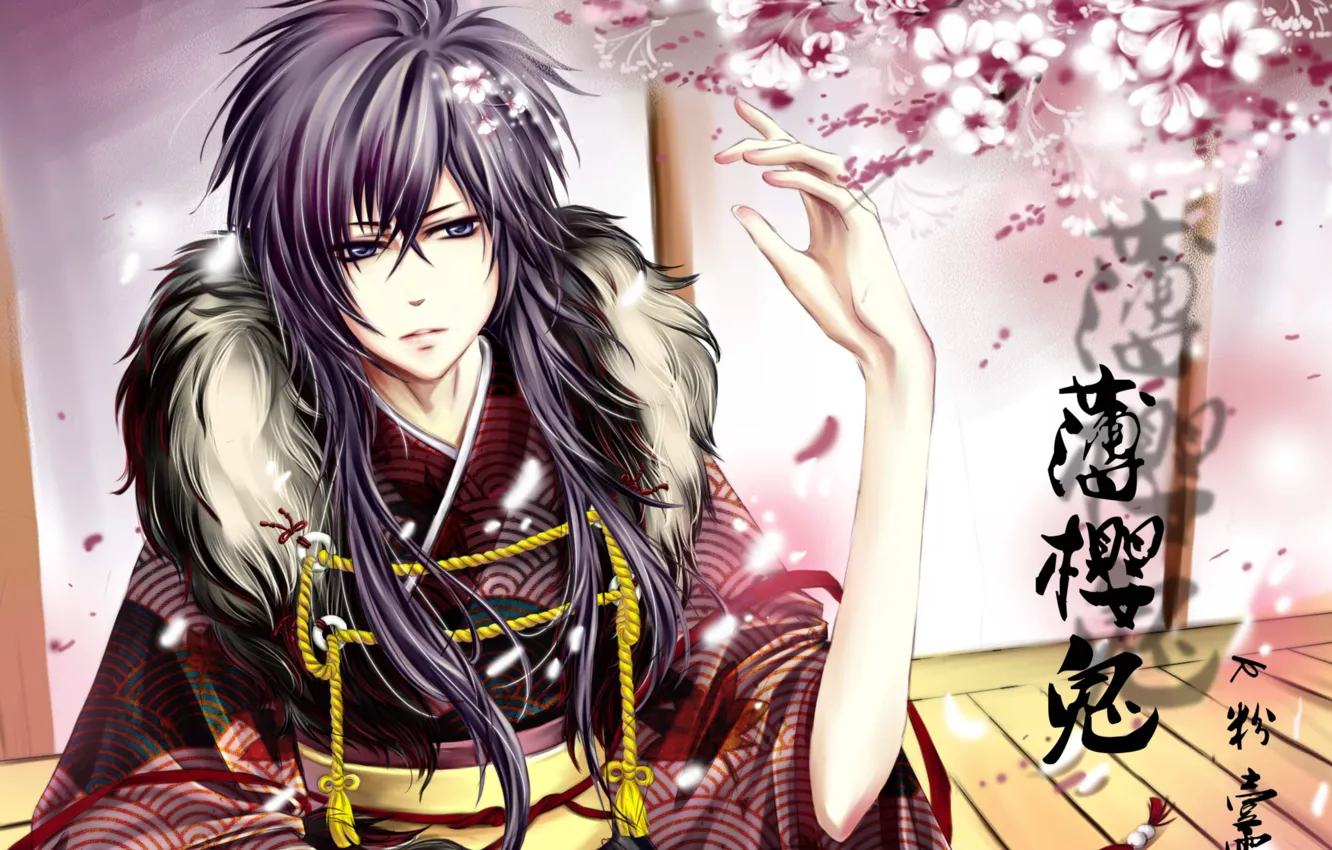 Фото обои цветы, сакура, самурай, иероглифы, парень, Hakuouki, Saitou Hajime, демоны бледной сакуры, сайто