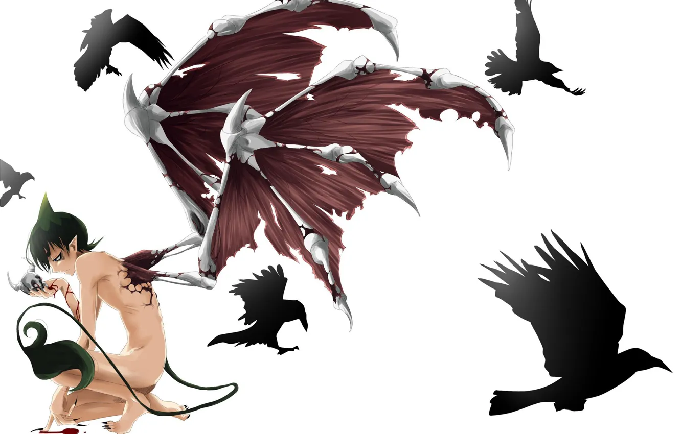 Фото обои кровь, череп, крылья, аниме, демон, хвост, рога, парень, ворон, Синий экзорцист, ao no exorcist