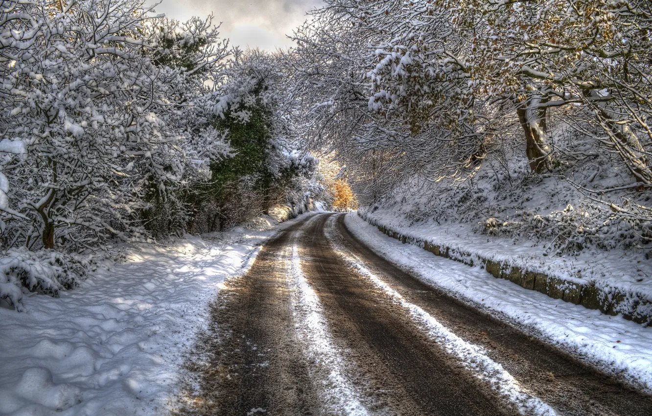 Фото обои зима, дорога, лес, снег, деревья, пейзаж, горы, природа