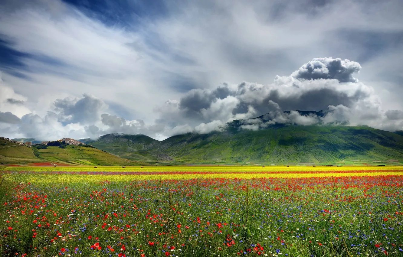 Фото обои поле, облака, цветы, горы, природа, равнина, долина