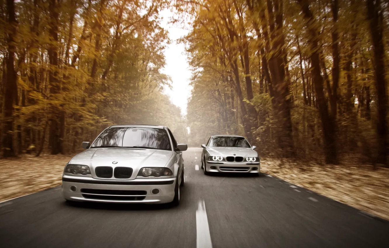 Фото обои дорога, осень, лес, фары, скорость, BMW, E46, E39, Stance Works