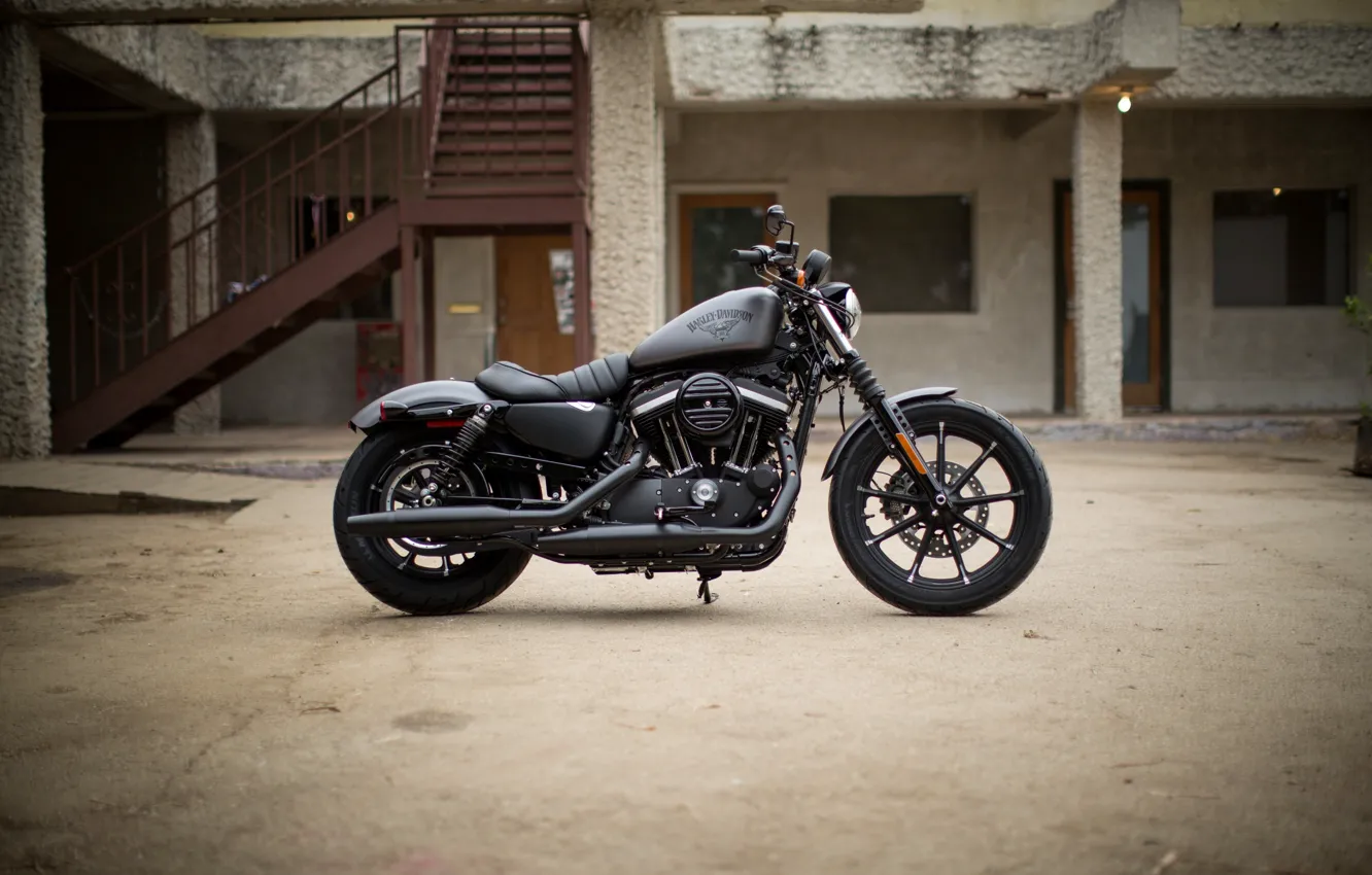 Фото обои moto, american, Harley-Davidson, iron, Sportster, v-tvin, 883