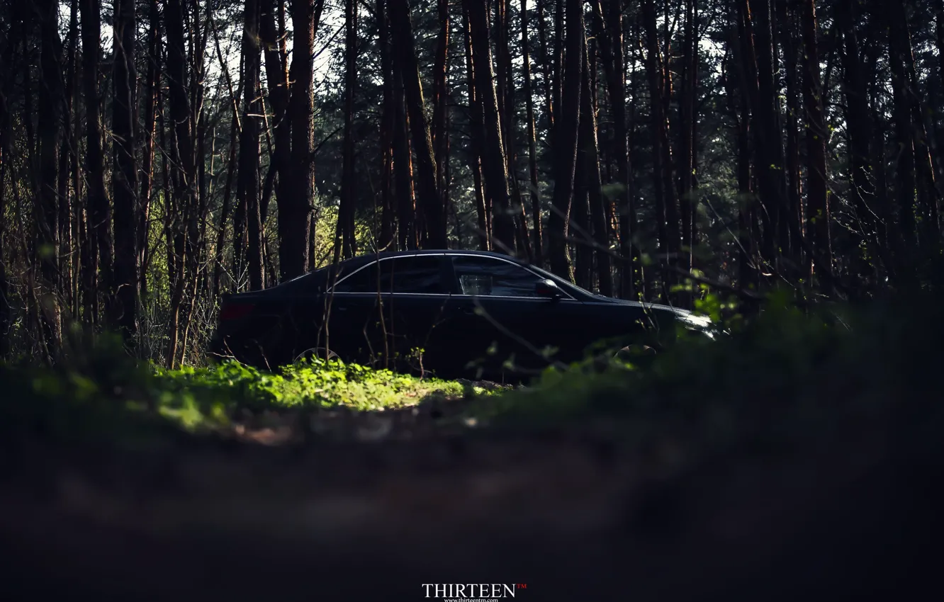 Фото обои машина, авто, лес, деревья, фотограф, auto, photography, photographer, Thirteen