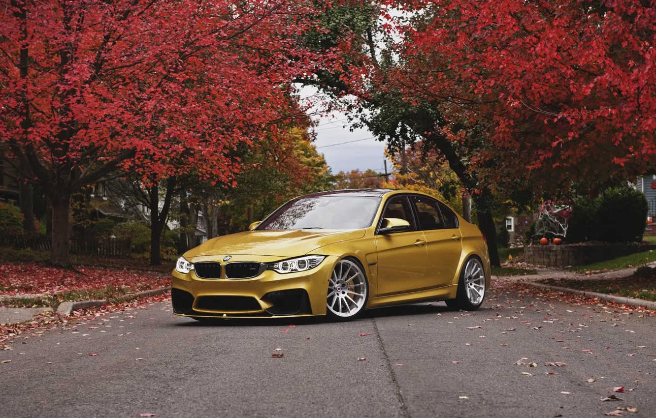 Фото обои осень, бмв, BMW, wheels, front, autumn, face, angel eyes, F80