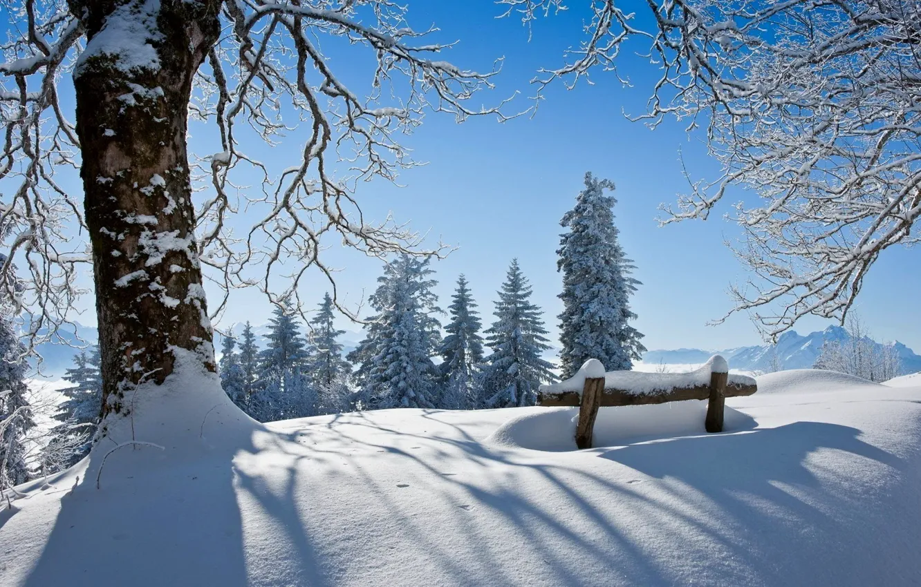 Фото обои зима, лес, небо, снег, пейзаж, скамейка, природа, парк, white, forest, sky, landscape, nature, park, beautiful, …