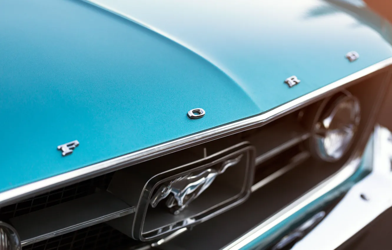Фото обои Mustang, Ford, фара, 1967, Fastback, круглая