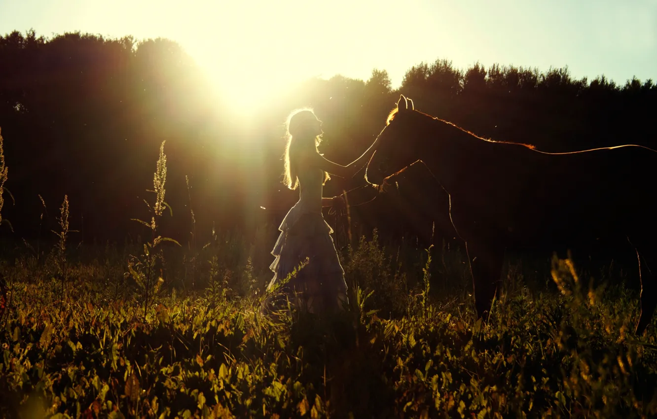 Фото обои поле, лето, девушка, солнце, лошадь