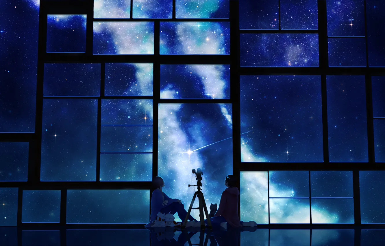 Фото обои небо, кот, звезды, ночь, аниме, шарф, окно, арт, парни, телескоп, tamagosho
