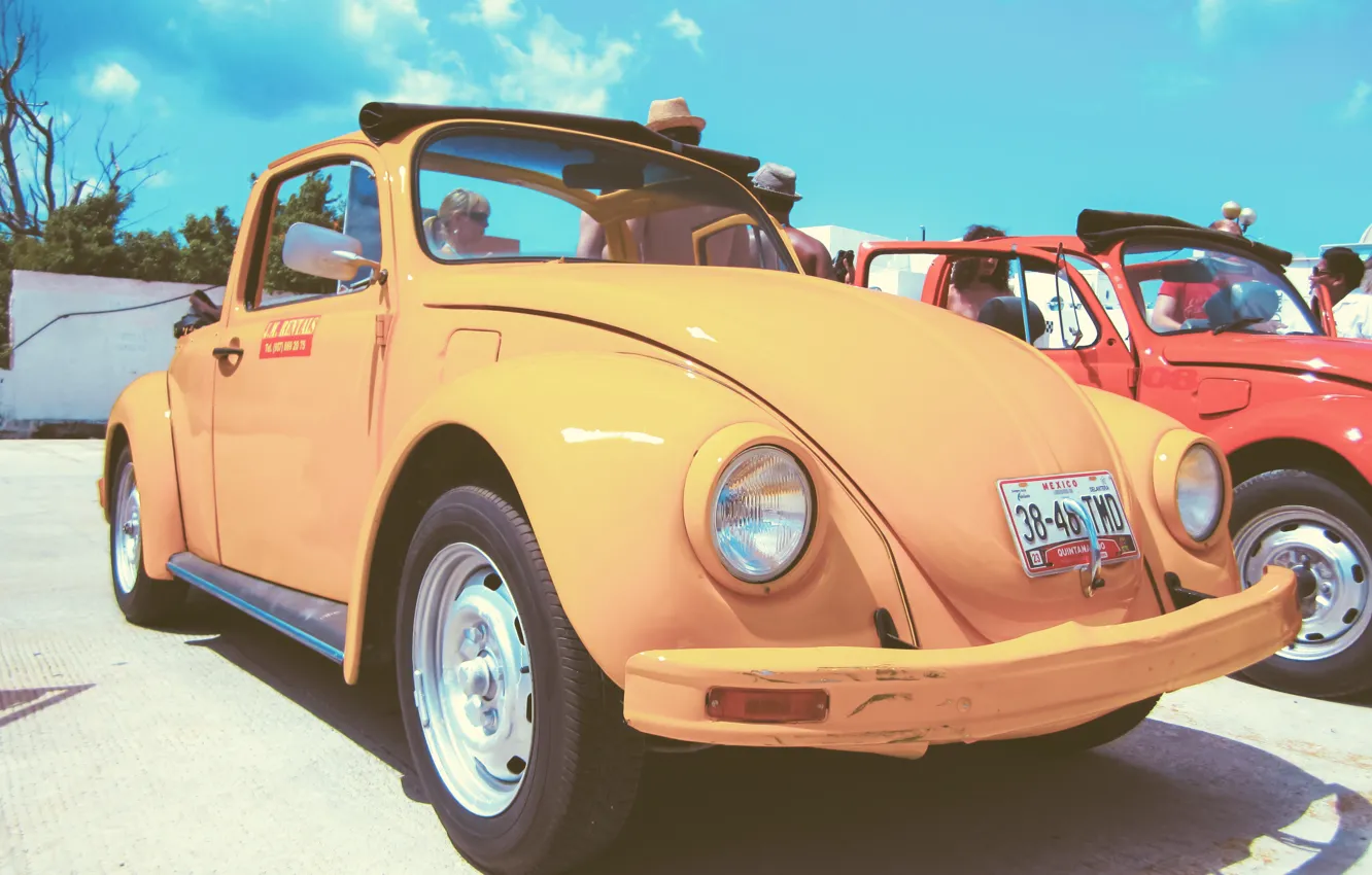 Фото обои жук, volkswagen, vintage, yellow, beetle, car. vw