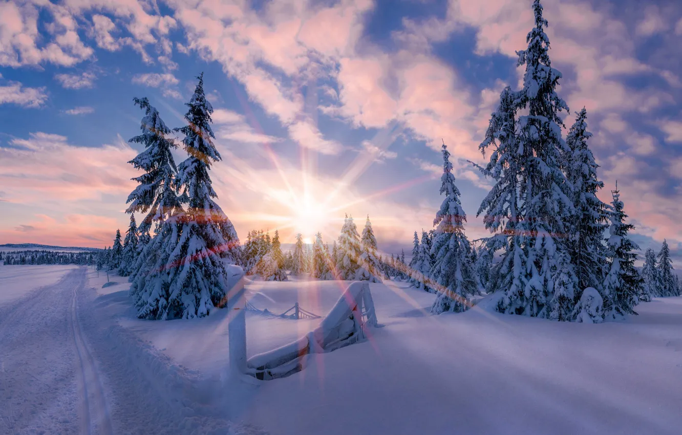 Фото обои зима, солнце, свет, снег, звезда, утро, Норвегия