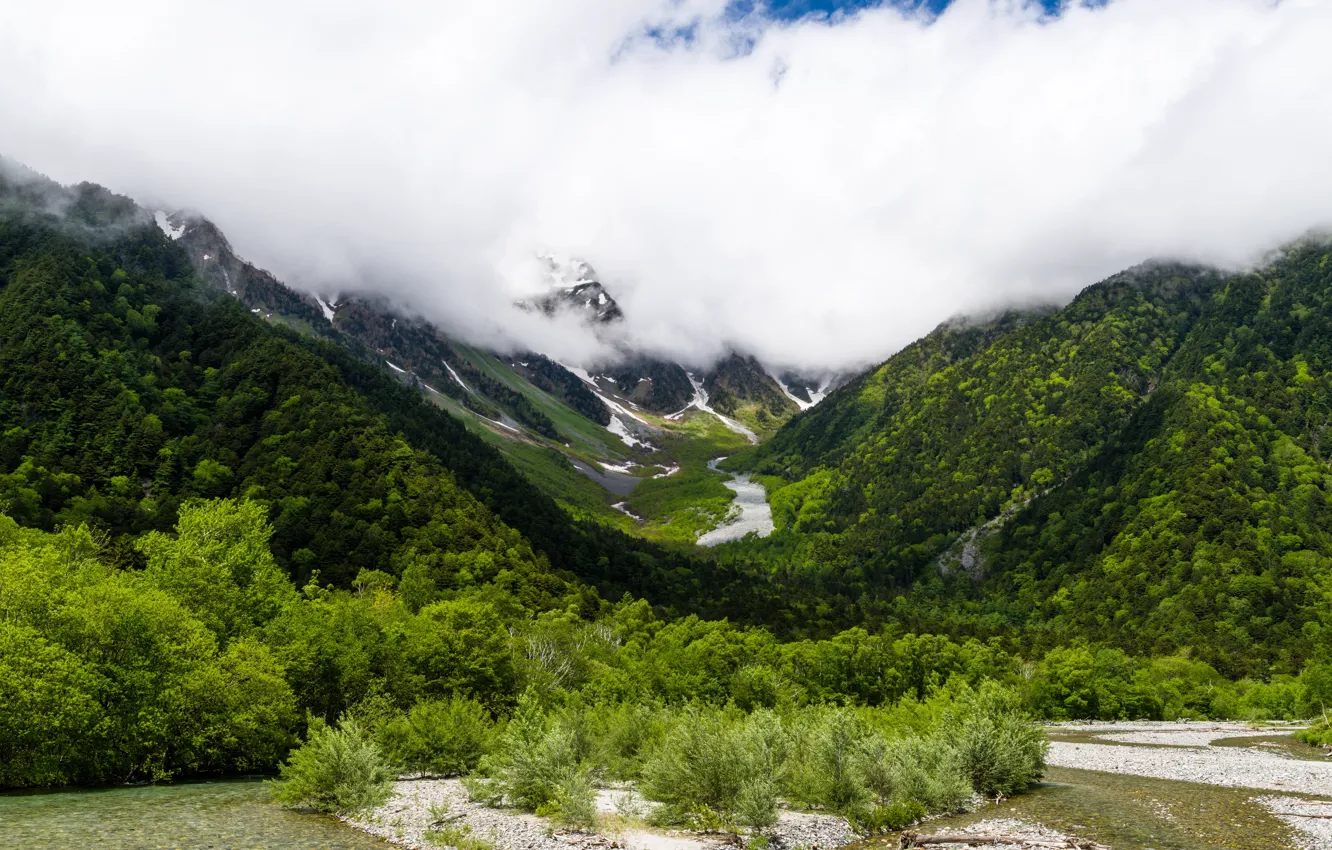 Фото обои облака, деревья, горы, ручей, камни, долина, кусты