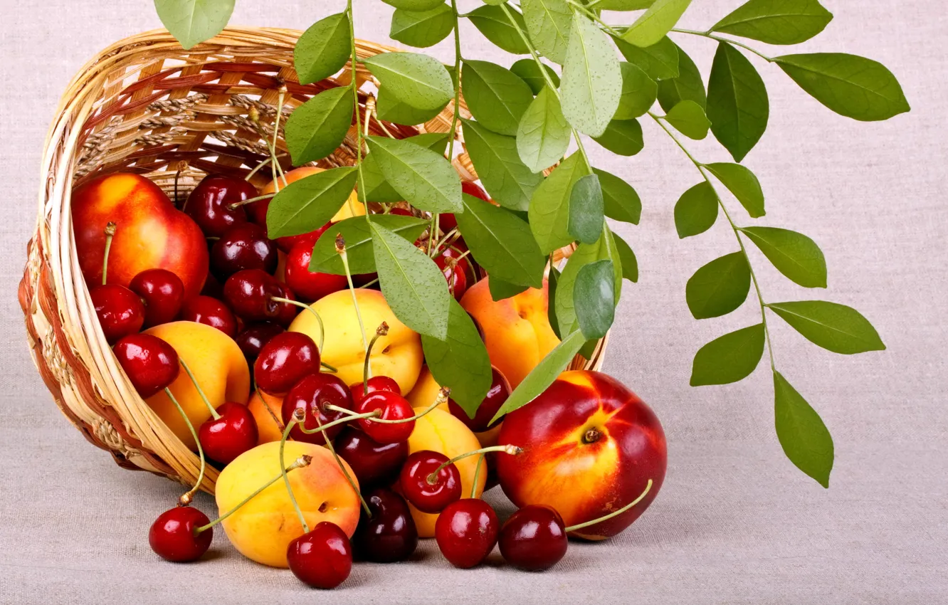 Фото обои лето, листья, природа, вишня, ягоды, корзина, еда, ветка, фрукты, корзинка, персики