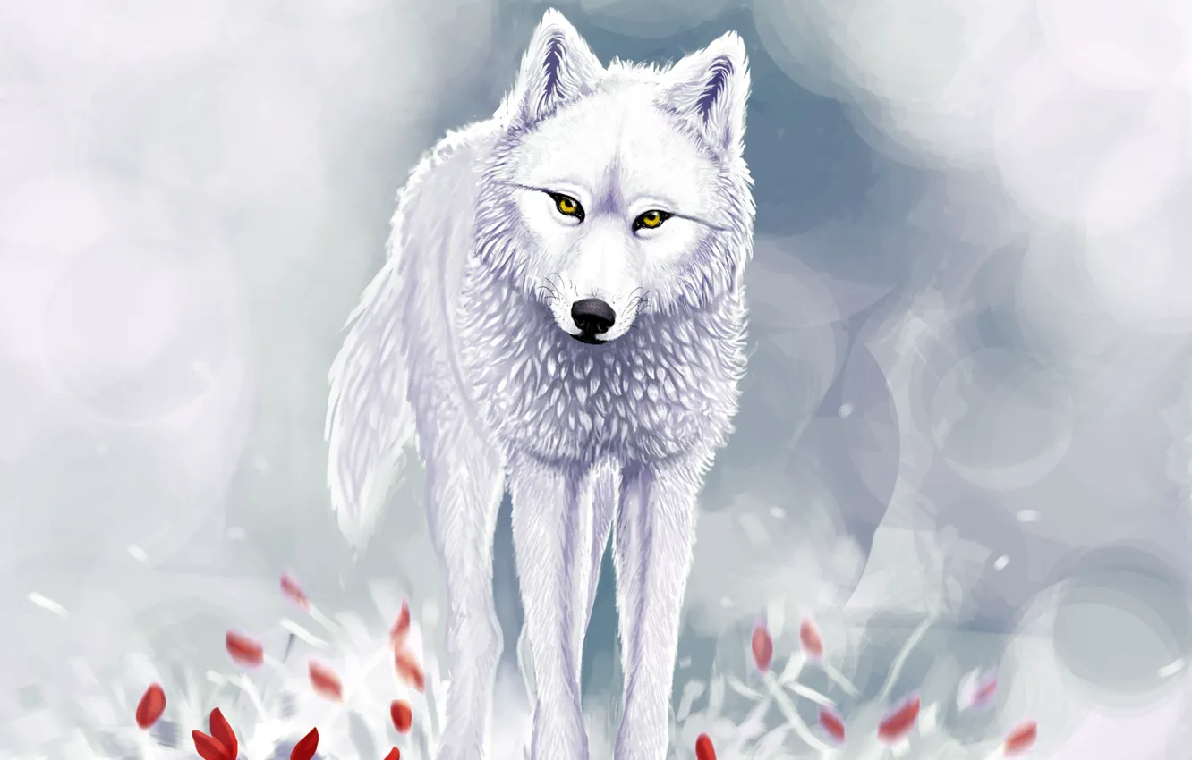 Фото обои зима, снег, красные цветы, Белый волк