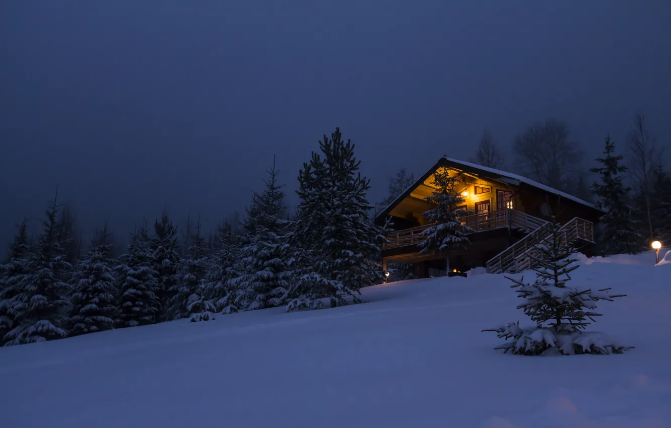 Фото обои зима, лес, снег, деревья, ночь, природа, дом, путешествия, елка, новый год, домик, house, хижина, forest, …