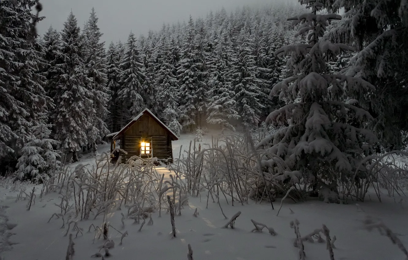 дом зимой в лесу фото