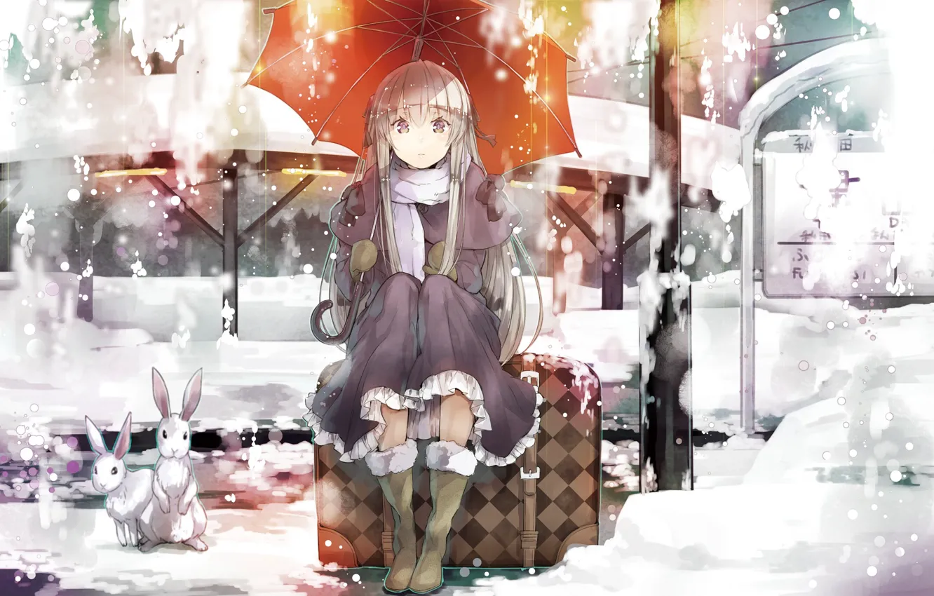 Фото обои девушка, снег, зонт, кролик, платье, сидит, карие глаза, kasugano sora, yosuga no sora, серебряные волосы