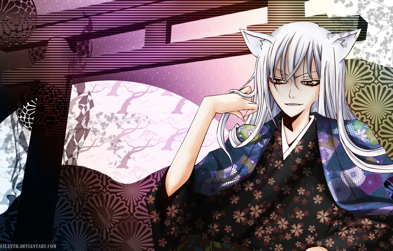 Фото обои цветы, парень, кимоно, уши, Kamisama Hajimemashita, Tomoe, Очень приятно Бог, демон-лис