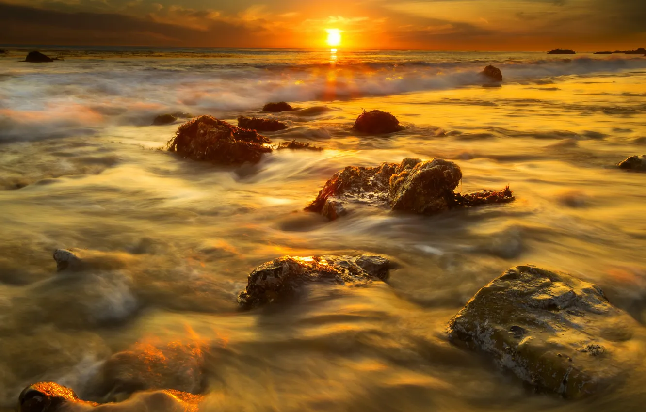Фото обои пляж, солнце, водоросли, закат, камни, Калифорния, Малибу
