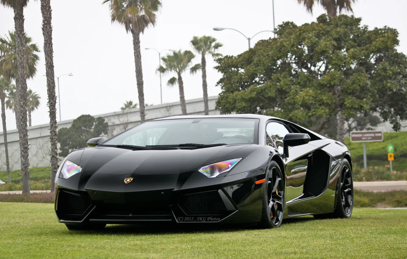 Фото обои машина, Lamborghini, ламборджини