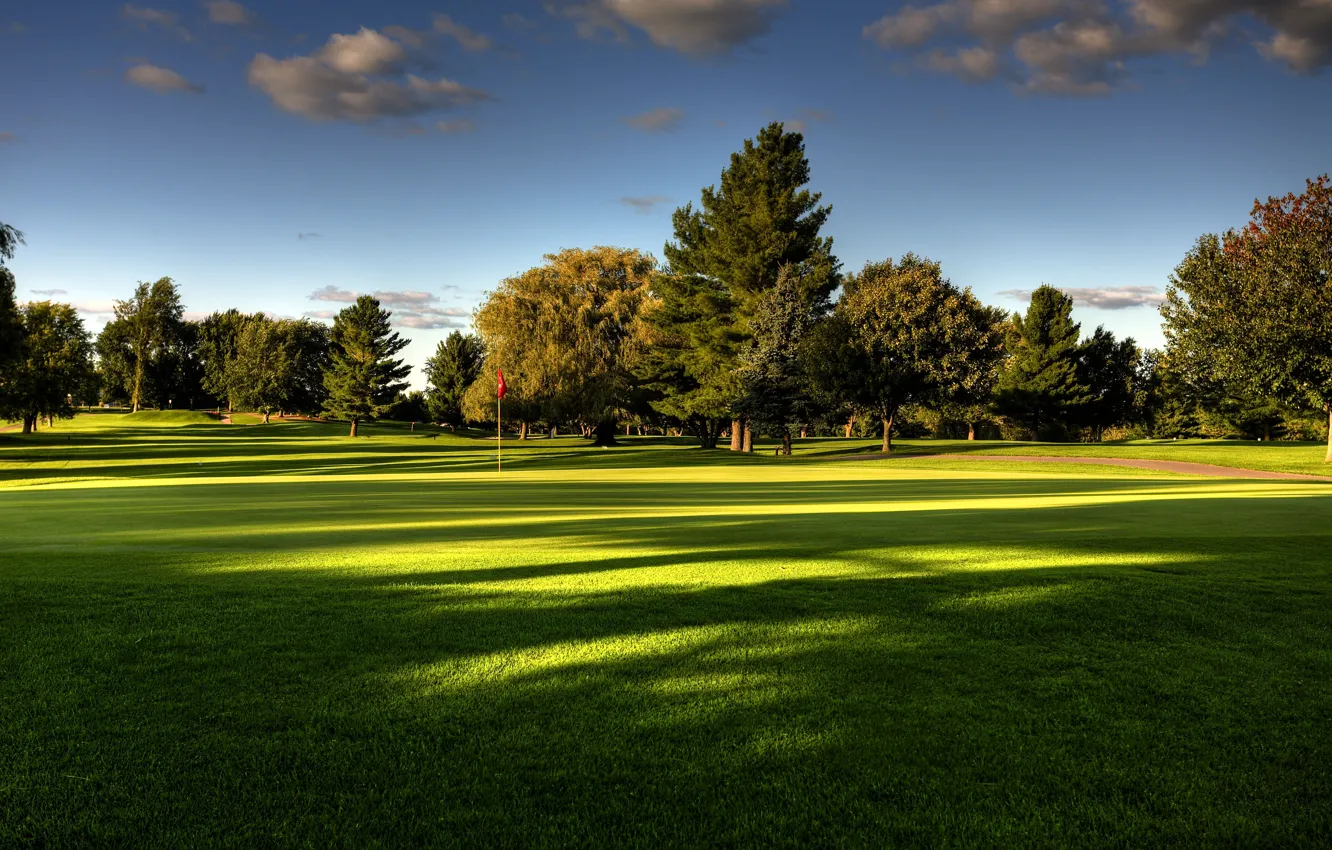 Фото обои лето, небо, трава, деревья, природа, поле для гольфа