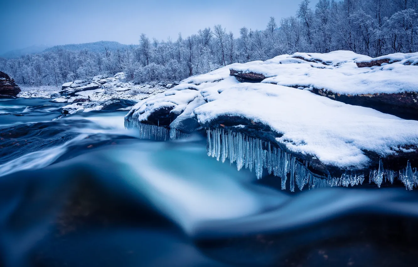Фото обои зима, лес, снег, деревья, река, сосульки, Швеция, Sweden, Lapland, Vuoggatjalme, Arjeplog, Лаппланд