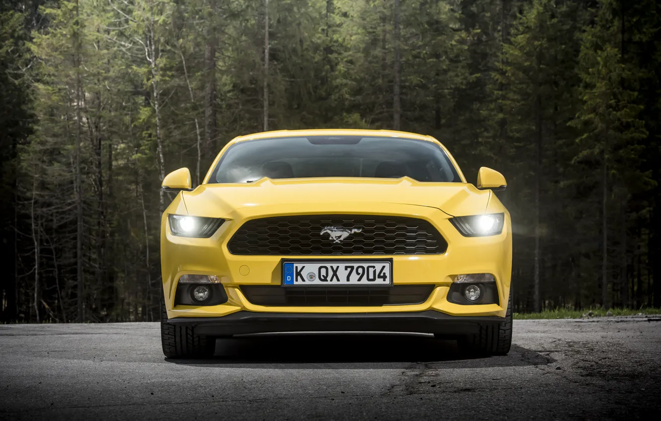 Фото обои купе, Mustang, Ford, мустанг, форд, 2015, EU-spec