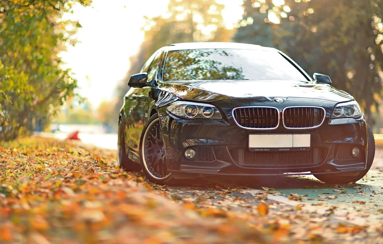 Фото обои осень, листья, тюнинг, BMW, БМВ, F10, 550, Drive