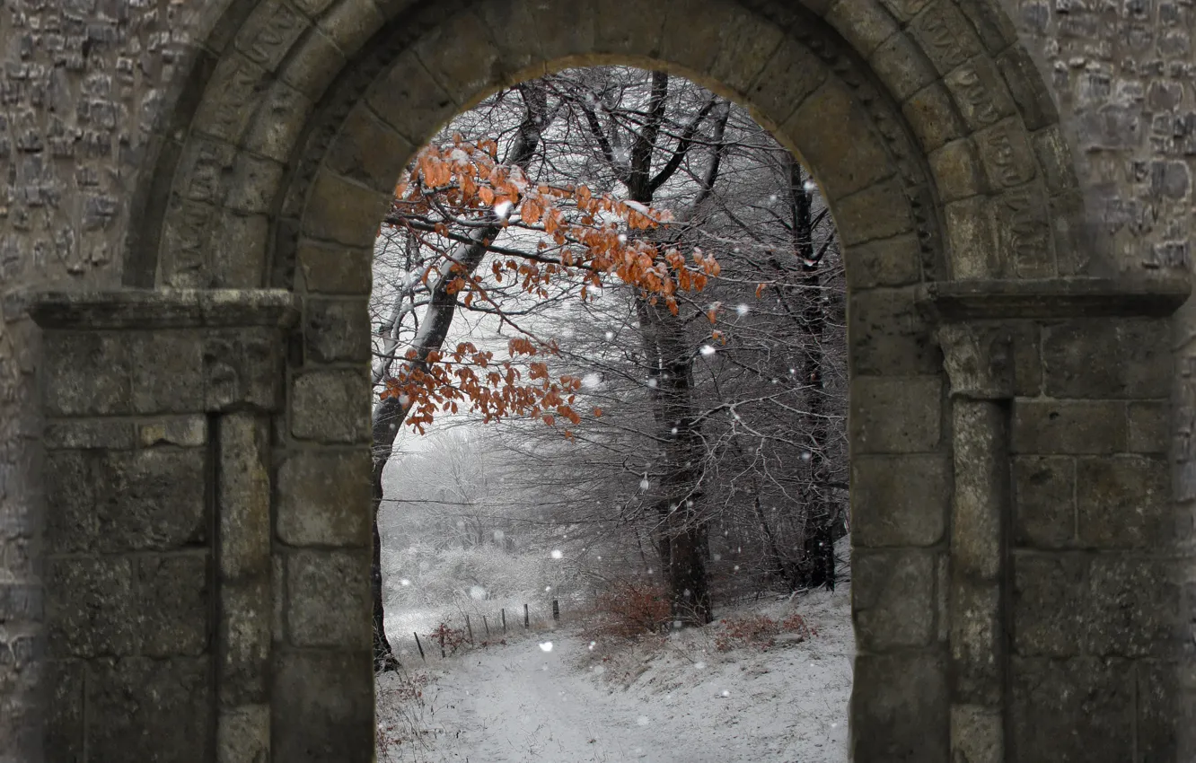 Фото обои зима, снег, природа, стена, арка, wall, Nature, winter, snow