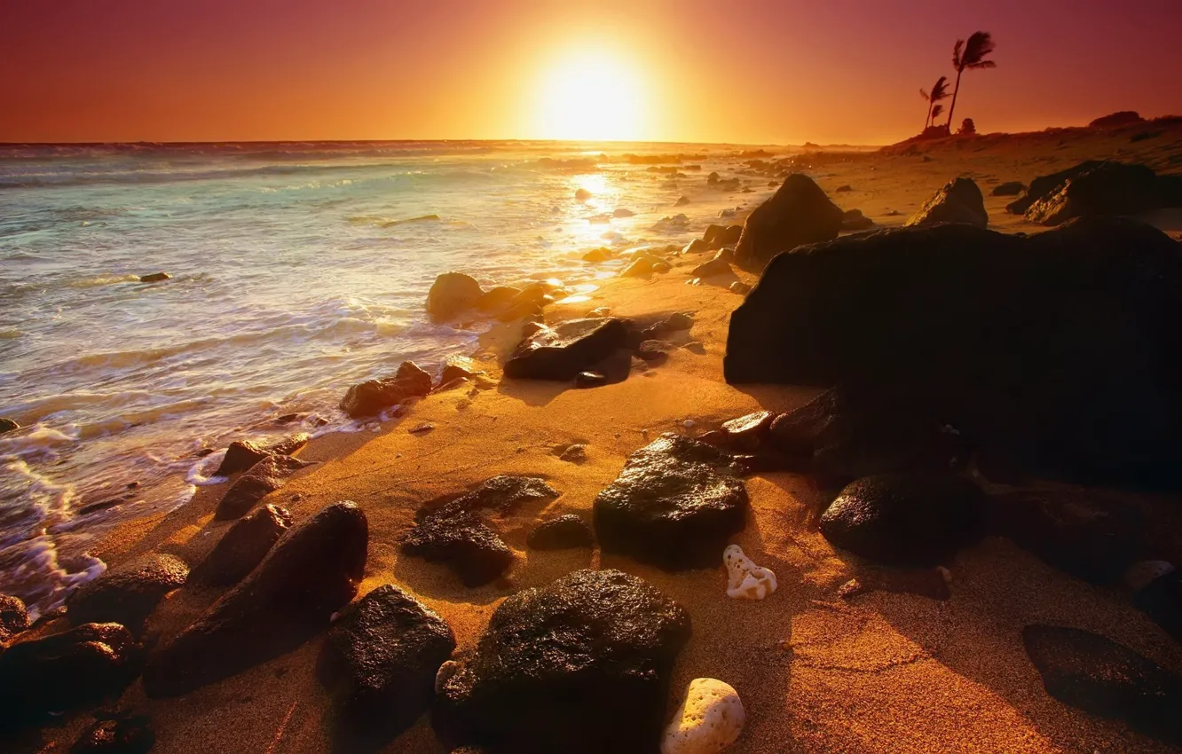 Фото обои пейзаж, океан, берег, солнечный закат, summer sunset