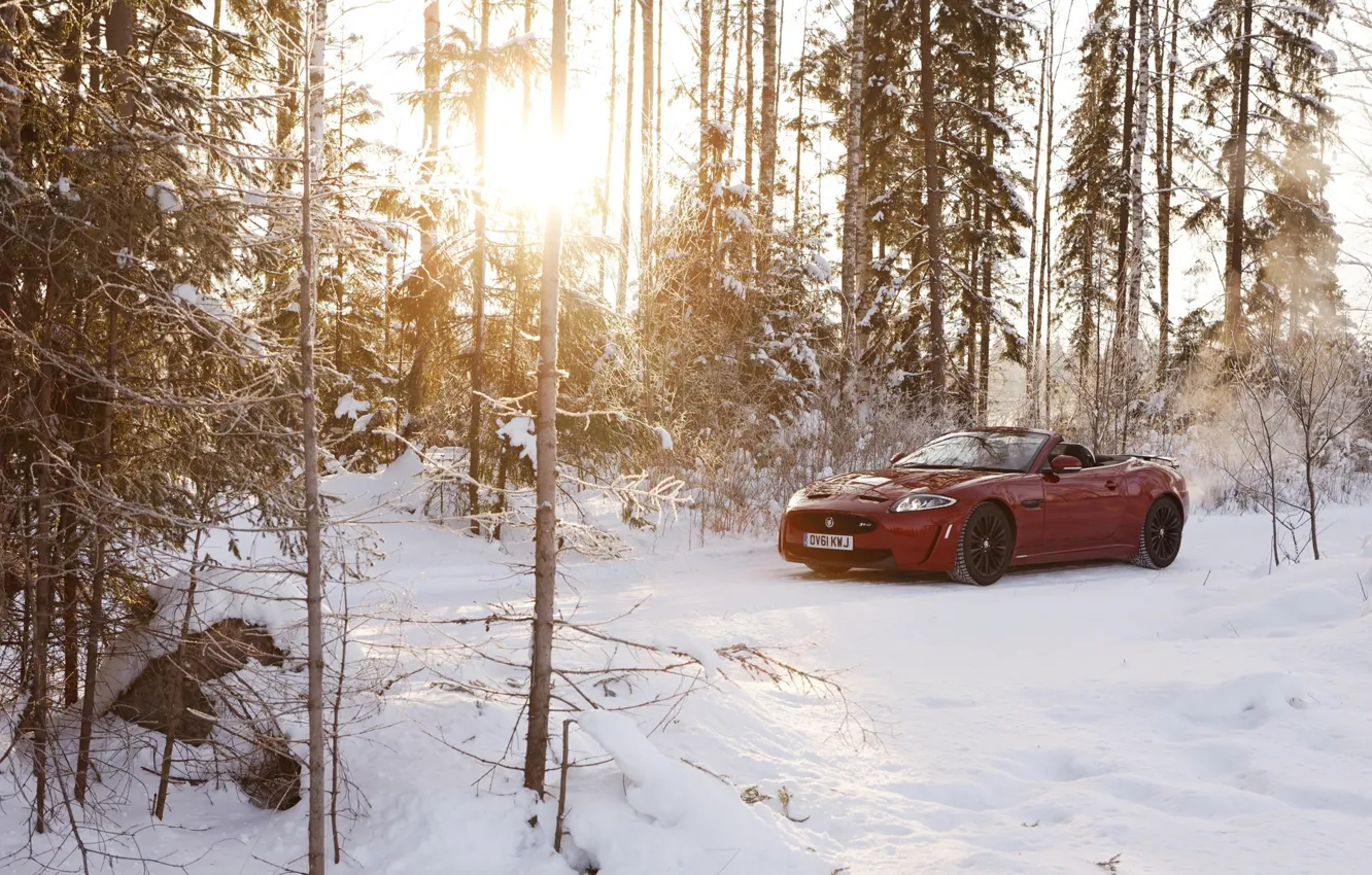 Фото обои зима, лес, солнце, снег, красный, Jaguar, ягуар, кабриолет, Convertible, XKR-S